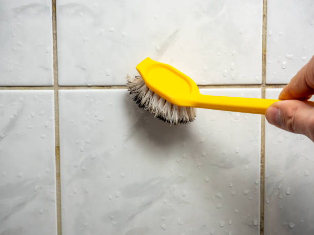 Best Home Mold Removal  in South San Jose Hills, CA